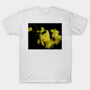 Rainy Wattle T-Shirt